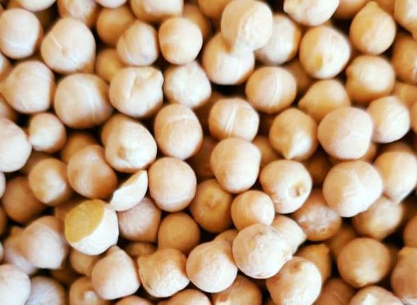 Chickpea from 러시아 supplied by LLC Agrochiminvest - Kabuli 말린 병아리콩