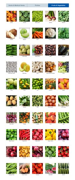 apricot – artichoke – Brussel sparouts – cucumber – eggplants – fig – garlic – grapefruit – grapes – green beans – green pepper – guava – lemon – lime – mandarin – mango – melokhya – melons – nectarine – okra – olive – orange – peaches – pears – peas – pomegranate – potatoes – prickly pears – radish – snap peas – spring onion – strawberry – sweet potatoes – tomatoes – watermelon – zucchini – carrot – watercress – custard apple – sugarsnap peas from 이집트 supplied by The African Gate - fresh 기타