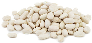 White Beans from Mexico supplied by PURP S.A. de C.V. - White Dried Common Bean