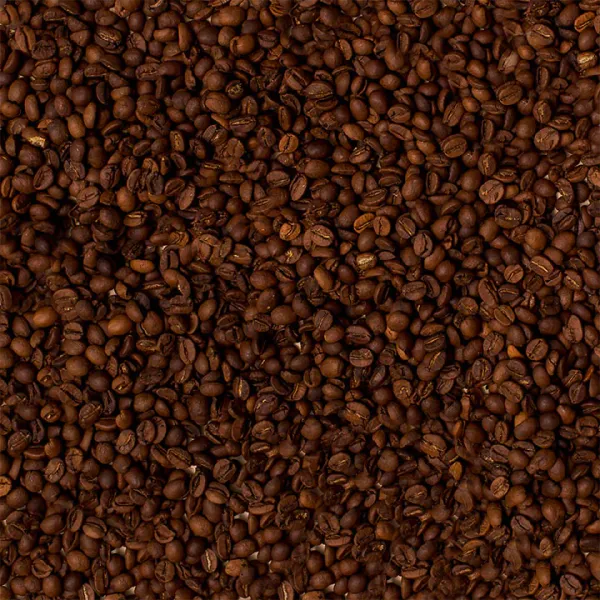Roasted Coffee Bean from 콜롬비아 supplied by FLOR A FRUTO SAS - Washed 생원두