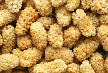 Dried Mulberry from 튀르키예 supplied by Yaban Food - Dried 말린 오디