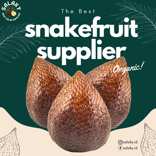Fresh Salak, Snakefruit, Salacca, Zalacca from 인도네시아 supplied by CV KRISHMA INTERNATIONAL - Raw 살라크