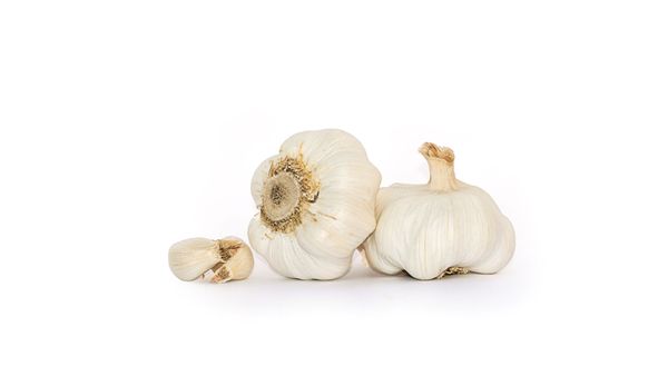 Garlic from Argentina supplied by Campo Lavalle S.A. - White Garlic Fresh Garlic
