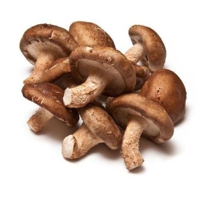 SHIITAKE MUSHROOM from 인도 supplied by SARAS FRESH IMPEX - Grade A 표고버섯