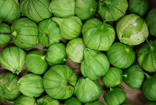 Fresh Tomatillo from Hong Kong supplied by Wah Kee - Huaji Vegetables Co., Ltd. - Toma Verde (=Green Tomatillo) Tomatillo