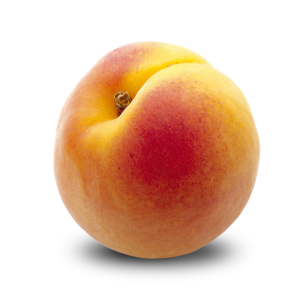 Peach from 남아프리카공화국 supplied by EPIC Fruit Exporters Pty Ltd - Carton Box (=Cardboard Box) 신선 복숭아