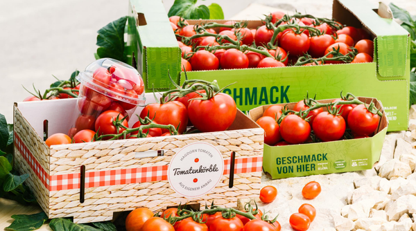 Fresh Tomato from 독일 supplied by Hagdorn Tomaten - Red 신선 토마토