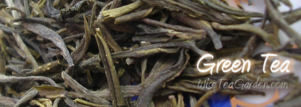 Green Tea from 캐나다 supplied by Wise Tea Garden - Leaves 대용량 녹차