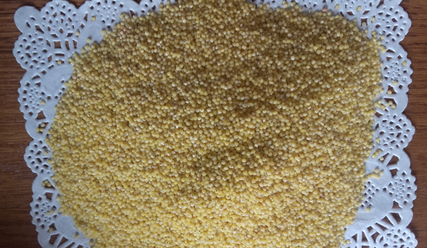 Millet from 폴란드 supplied by SKÓRSKIAGRO - Groat 밀레