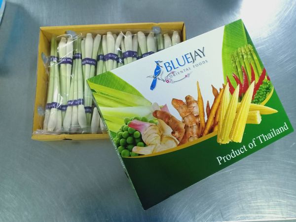 lemon grass from 태국 supplied by Blue Jay Oriental Foods Thailand Ltd - Tray 레몬그라스