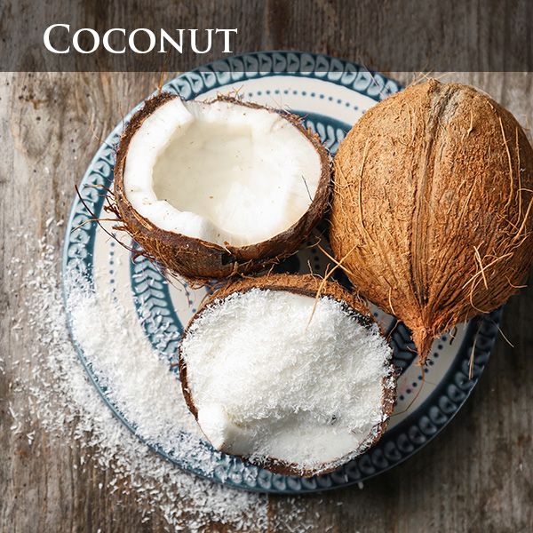 Desiccated Coconut from 스리랑카 supplied by Ranfer Group - Unspecified 기타 신선 코코넛