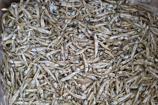 Anchovy from Malaysia supplied by Ocean Bliss Sdn Bhd - Whitebait (=Mata Biru=Bilis Jepun=Stolephorid anchovy) Fresh Anchovy