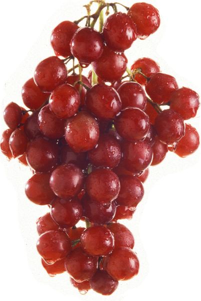 Grape from 페루 supplied by Agricola La Guerrero S.A.C. - Allison (=Sheegene 20) 신선 포도