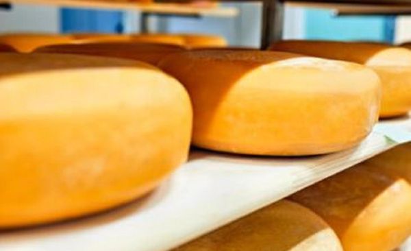 Cheese from 네덜란드 supplied by Landwinkel en Schenkerij De Kersenhut - Whole 기타 치즈