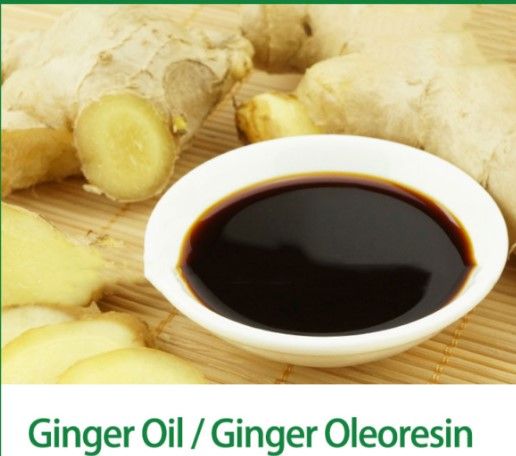 Ginger Oil from 독일 supplied by EXTRAKTA Strauss GmbH - Glazed (=Candied) 진저 오일