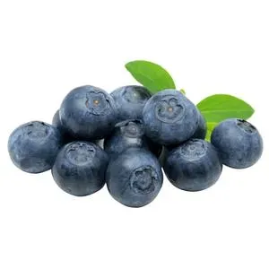 Blueberry from 남아프리카공화국 supplied by Funky Fruit - Whole 신선 블루베리