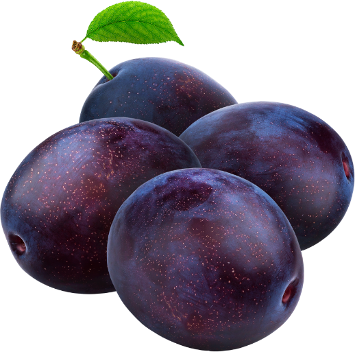 Plums from 몰도바 supplied by Ionex Trans SRL - Plum - Bluefree 신선 자두