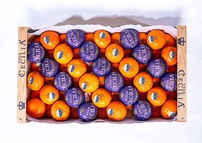 Oranges from Germany supplied by Elbegarten GmbH - Orange Fresh Orange