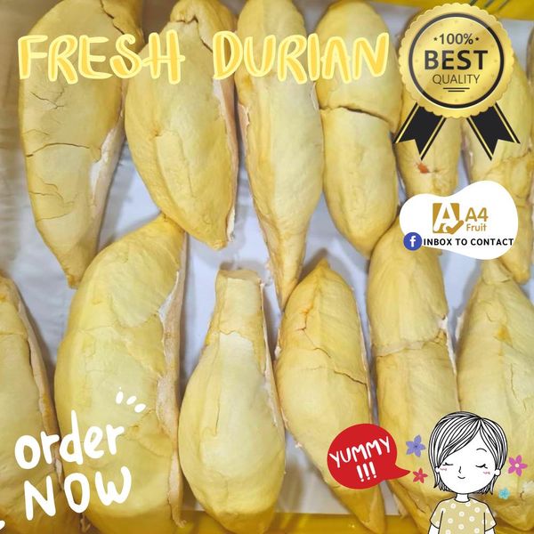 Fresh Durian from Thailand supplied by A4 Fruit Trading - Fresh (=Chilled) Fresh Durian