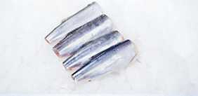 Baltic Herring Caked from 라트비아 supplied by BraDava Ltd - Without head and guts 청어