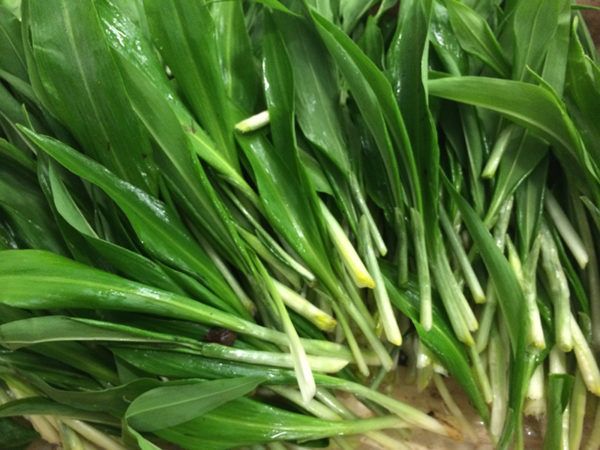 Wild Garlic from France supplied by PARIS SAVEURS - Wild Garlic - Rosy Fresh Garlic