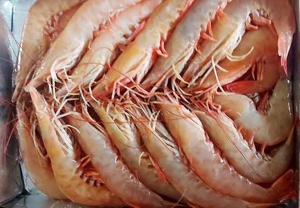 Shrimps from Saudi Arabia supplied by STE TUNEX - Fresh (=Chilled=Raw) Frozen Coldwater Shrimp & Prawn