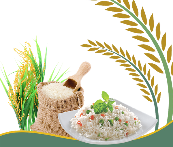 1121 Rice Basmati from 파키스탄 supplied by Prime Food - As per customer's request 쌀