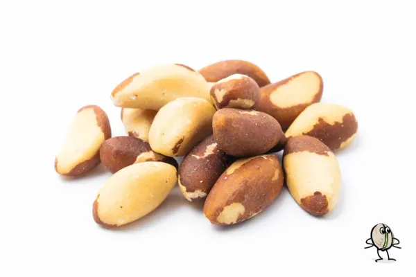 Brazil Nut from United States supplied by House Of Pistachios - Kernel Brazil Nut Kernel