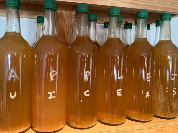 Treflach Farm Apple Juice from 영국 supplied by Treflach Farm - FAQ (=Fair Average Quality) 사과주스