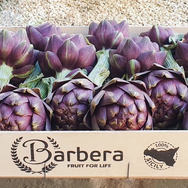 Artichoke from Italy supplied by Barbera International - Purple Fresh Artichoke