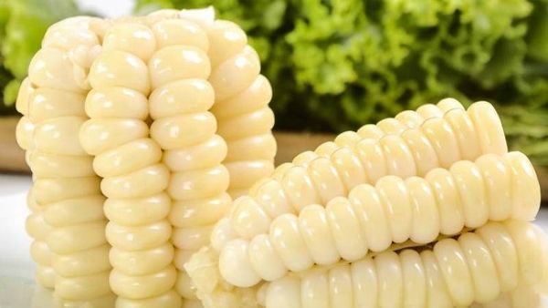 Frozen Corn from 페루 supplied by The Green Farmer S.A.C. - Frozen 옥수수