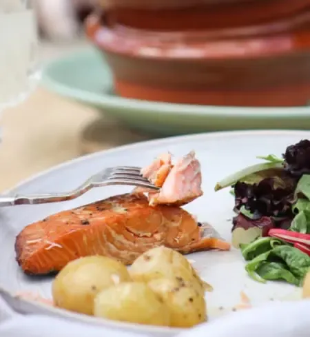 Salmon from United Kingdom supplied by Brown And Forrest Limited - Skin On Salmon