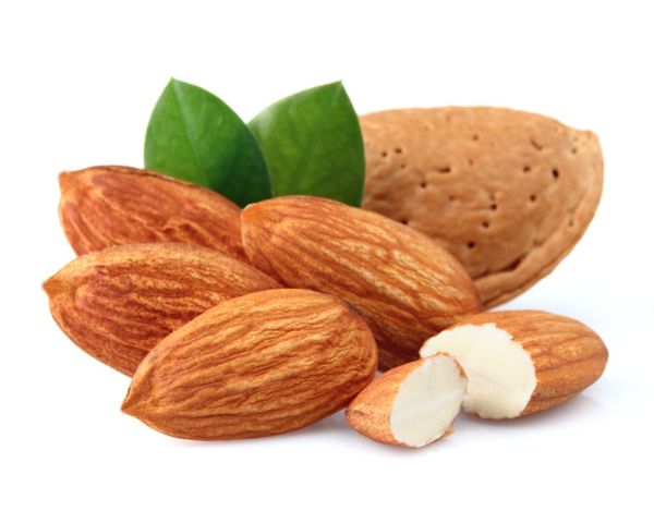 Almond from 이란 supplied by MASCO holding company - 갈색 아몬드 알맹이