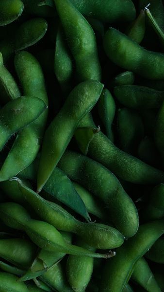 Edamame from 케냐 supplied by Ad-Lib Limited - Farmed 대두