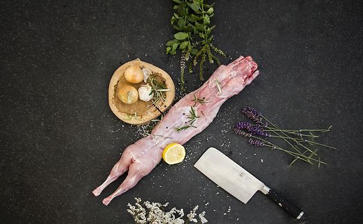 Rabbit Meat from 벨기에 supplied by VAN ASSCHE - Fillet 토끼고기