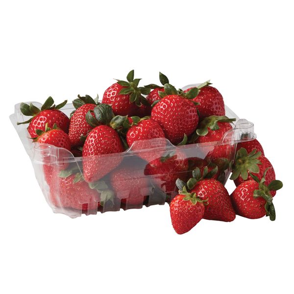 strawberry from 그리스 supplied by AGRICULTURAL COOP. OF FRUITS & VEGETABLES I YRMINI - Sabrina 신선 딸기