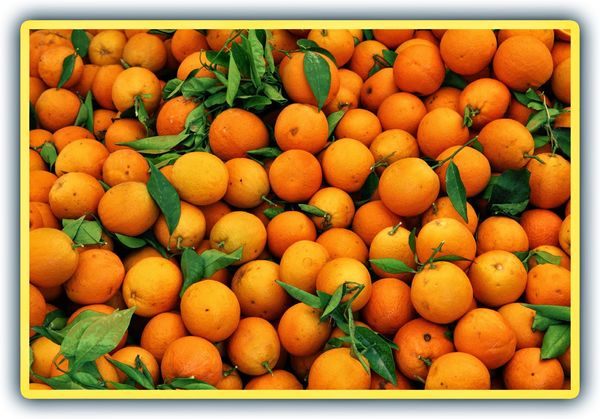 Fresh Mandarin Kinnow from Pakistan supplied by Supreme Kinno Factory - Sweet Fresh Mandarin