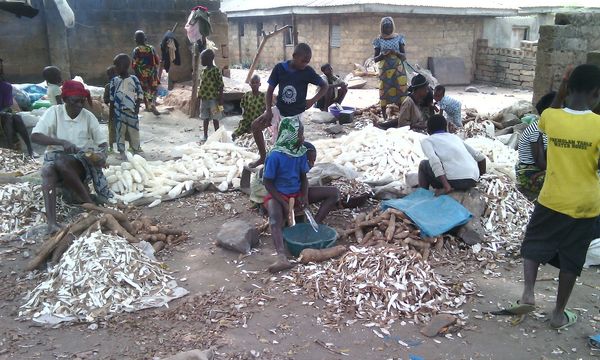 casssava chips from Nigeria supplied by E.L.O Ngodo Enterprises Limited - Garri Cassava