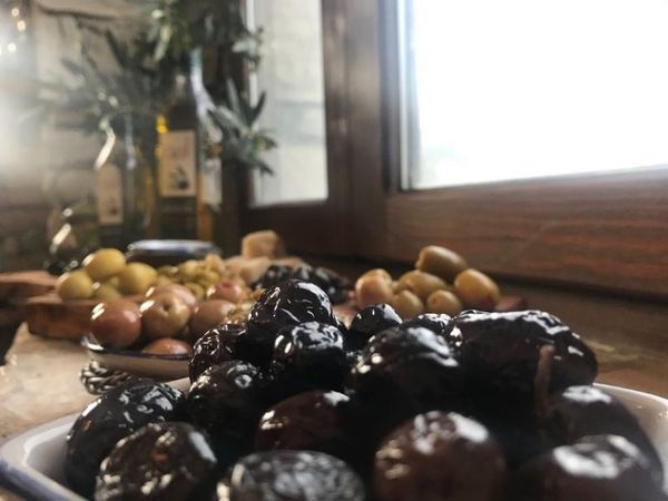 Olive from 튀르키예 supplied by Hisar Olives - Conventional 올리브