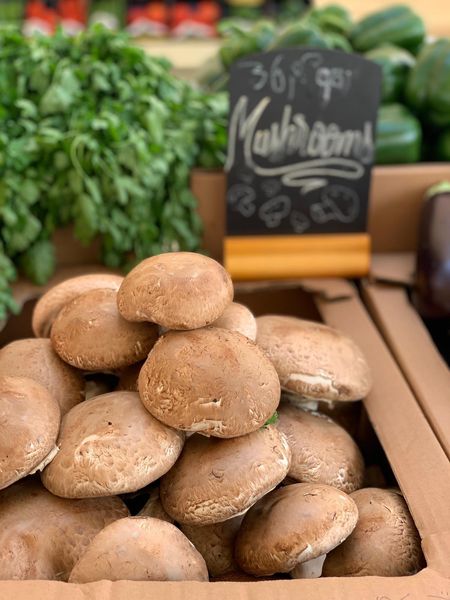 Mushroom from Qatar supplied by Agrico Agriculture Developement - Whole Other Fresh Mushrooms