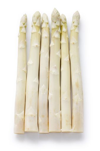 Fresh Asparagus from 독일 supplied by Spargelhof Bahlmann - Greenhouse 신선 아스파라거스