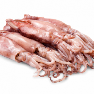 Fresh Squid from Singapore supplied by Ha Li Fa - Whole Frozen Squid