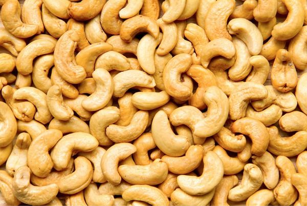 Raw Cashew Nut from Germany supplied by Ortlieb Organic GmbH - Kernel Raw Cashew Nut