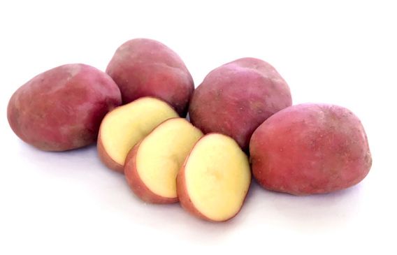 Desiree Seed Potato from New Zealand supplied by Morton Smith-Dawe Ltd - Desiree Seed Potato Seed Potato