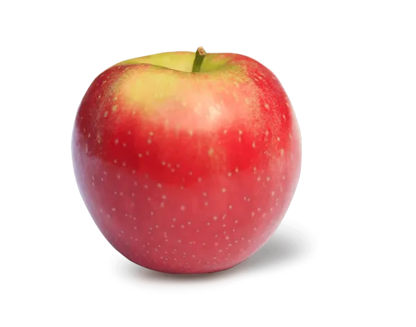 Apple from Spain supplied by GranBiBio Supermercados Ecológicos - Supermarket - Carton Box (=Cardboard Box) Fresh Apple