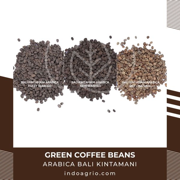 Coffee Beans - Arabica Bali Kintamani from 인도네시아 supplied by PT Agro Bumi Universal - Wet Polished 생원두