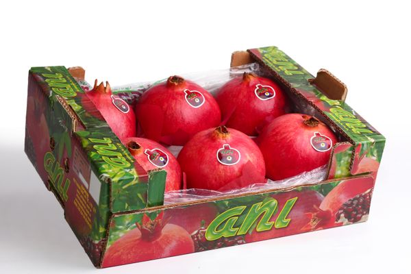 Pomegranate from 튀르키예 supplied by Anı Tarım Fresh Fruits - Hicaz 신선 석류