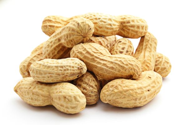 Peanut from 포르투갈 supplied by TORRIBA, SA - In-shell 땅콩 알맹이