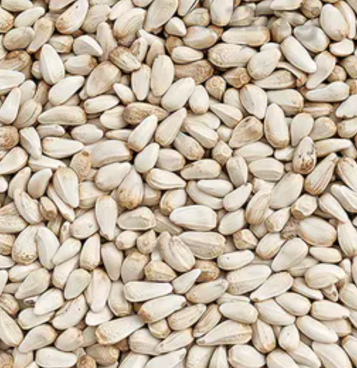 Safflower Seeds from 인도 supplied by EVERGREEN EXPORTS - Dried 잇꽃 씨