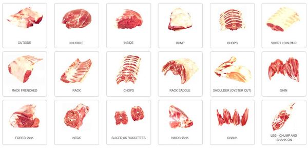Lamb from 우루과이 supplied by Phixon Trade Company - Cut 양고기